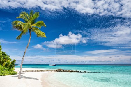 Foto de Beautiful tropical beach with palm trees and moody sky. Amazing beach scene vacation and summer holiday concept. Maldives paradise beach. Luxury travel summer holiday background concept. - Imagen libre de derechos