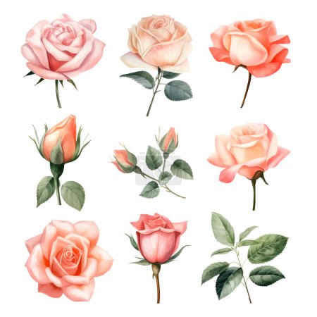 Téléchargez les photos : Ensemble de belles roses aquarelles - en image libre de droit