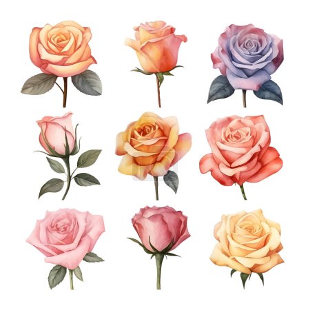Téléchargez les photos : Ensemble de belles roses aquarelles - en image libre de droit