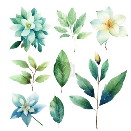 Illustration for Set of beautiful watercolor green leaves and flowers - Royalty Free Image