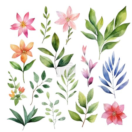 Téléchargez les photos : Ensemble de belles feuilles et fleurs vert aquarelle - en image libre de droit