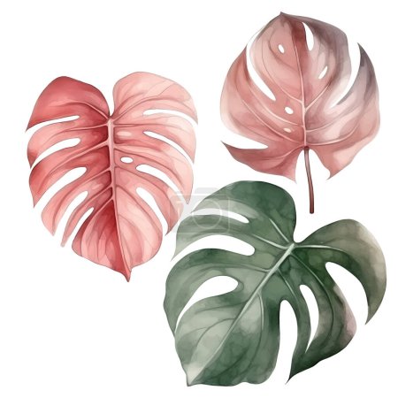 Téléchargez les photos : Ensemble de trois feuilles tropicales vectorielles - en image libre de droit
