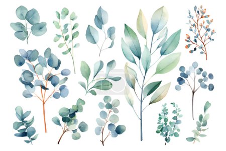 Téléchargez les photos : Ensemble de branches vectorielles aquarelle d'eucalyptus - en image libre de droit
