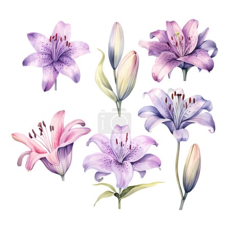 Téléchargez les illustrations : Ensemble de nénuphars vectoriels aquarelle violet - en licence libre de droit