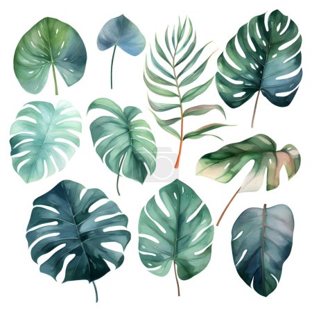 Téléchargez les photos : Ensemble de feuilles tropicales vecteur aquarelle - en image libre de droit