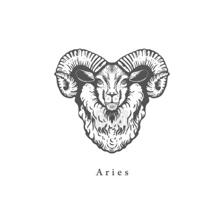 Aries zodiac symbol, hand drawn in engraving style. Vector retro illustration of astrological sign Ram.