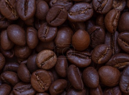Téléchargez les photos : Gros plan sur les grains de café torréfiés brun foncé - en image libre de droit