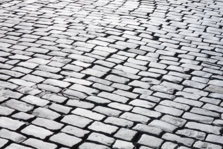 Photo for Black and white photo of old cobblestone road - Royalty Free Image