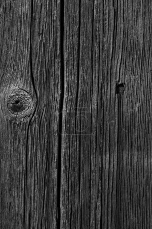 Photo for Black and white photo of old wooden board texture - Royalty Free Image