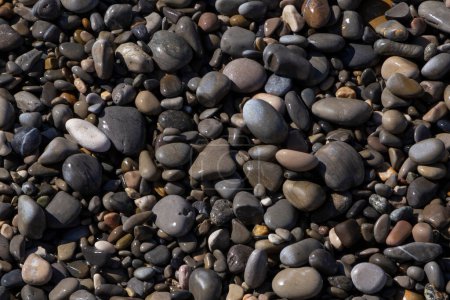 Téléchargez les photos : Vue sur galets mouillés sur la plage de Nice - en image libre de droit