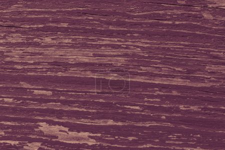 Photo for Close up of old purple shabby wooden board - Royalty Free Image