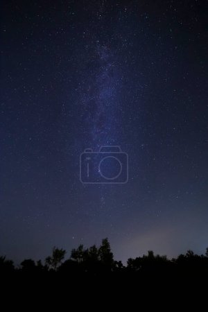 Photo for Sight of Milky Way galaxy in night sky above forest - Royalty Free Image