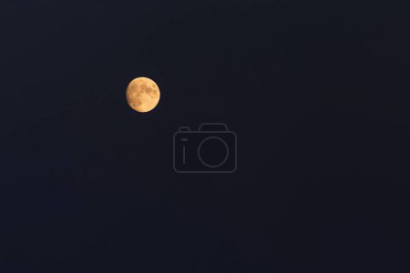 Foto de Vista en amarillo encerado gibbous Luna en cielo nocturno - Imagen libre de derechos