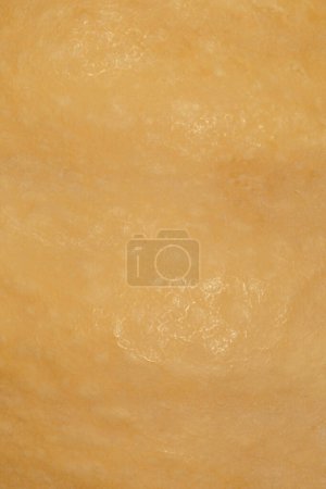 Téléchargez les photos : Abstrait fond naturel : gros plan de peau de citrouille orange texture - en image libre de droit