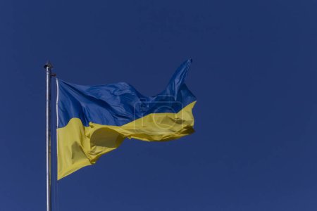 Foto de Bandera de Ucrania ondeada en asta de la bandera contra el cielo azul claro - Imagen libre de derechos