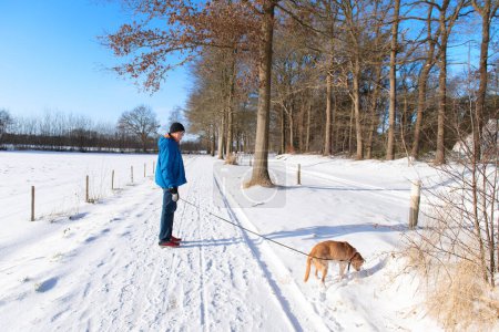 Photo for Walking the dog in winter landscape Diever in the Netherlands with snow - Royalty Free Image