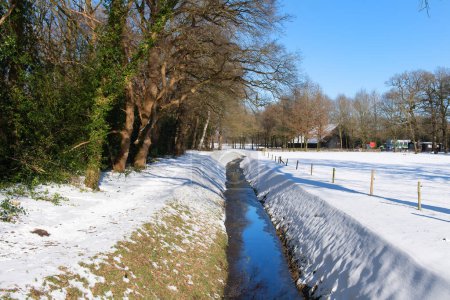 Photo for Winter landscape Diever in the Netherlands with snow - Royalty Free Image