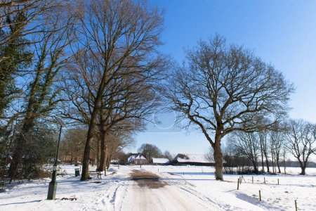 Photo for Dutch agriculture winter landscape with snow - Royalty Free Image