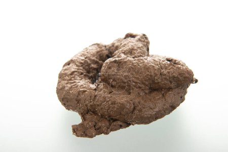 Fresh poop isolated over white background