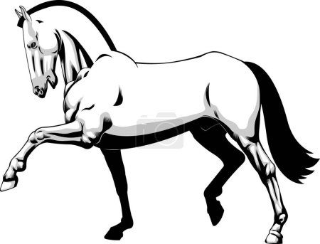 Illustration for Horse stylized banner, vector illustration - Royalty Free Image