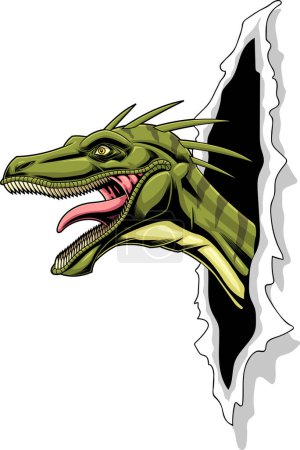 Illustration for Vector illustration  of dinosaur ripping white background  vector illustration - Royalty Free Image