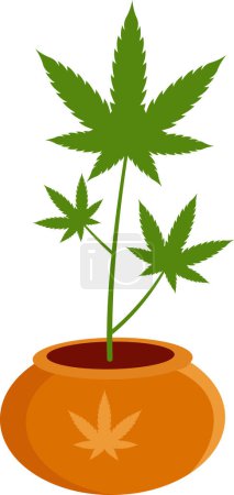 Téléchargez les illustrations : Caricature esquissée Marijuana Leaf Cannabis Plant In Pot. Illustration dessinée à la main vectorielle isolée sur fond transparent - en licence libre de droit
