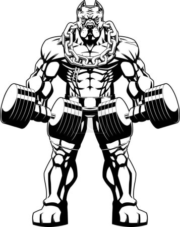 Illustration for Outlined Muscular PitBull Bodybuilder Mascot Doing Exercise With Dumbbells. Vector Hand Drawn Illustration Isolated On Transparent Background - Royalty Free Image
