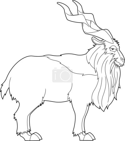 Markhor Animal Cartoon Character (en inglés). Ilustración dibujada a mano vectorial aislada sobre fondo transparente