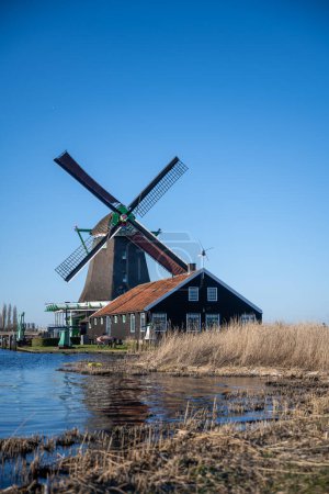 Foto de Molinos de viento Zaanse Schans y los famosos canales holandeses cerca de Ámsterdam - Imagen libre de derechos