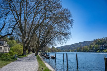 An idyllic view of the Rhine River banks