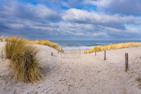 Playa en la orilla del Mar Báltico en Graal Mueritz, Alemania
.