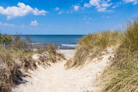 Beach access at the Baltic Sea coast near Rosenort in the nature reserve Rostocker Heide, Germany.