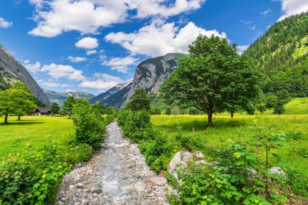 Foto de La zona Gran Ahornboden en el valle del Risstal cerca de la Eng Alm en Austria. - Imagen libre de derechos