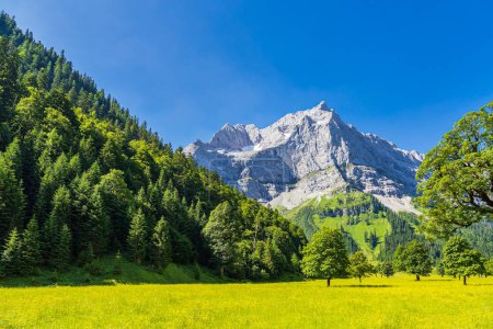 Foto de La zona Gran Ahornboden en el valle del Risstal cerca de la Eng Alm en Austria. - Imagen libre de derechos