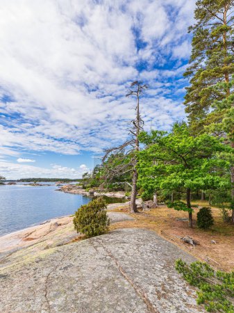 Foto de Paisaje con rocas y árboles cerca de Oskashamn en Suecia. - Imagen libre de derechos