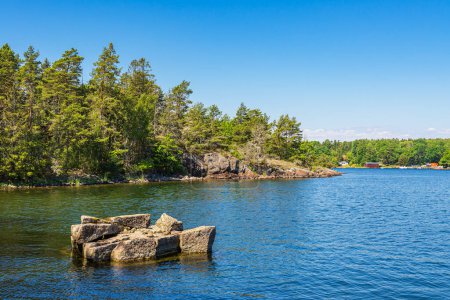 Paysage avec arbres sur l'île d'Uvo en Suède.