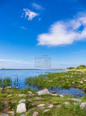 Paysage sur la côte de la mer Baltique sur l'île d'Oland en Suède.