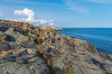 Paysage avec rochers dans la réserve naturelle Bokeskogen en Norvège.