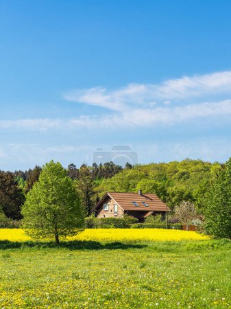 Canola field with trees, house and blue sky near Parkentin, Germany.