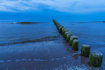 Groyne en la costa del Mar Báltico en Bansin, Alemania.