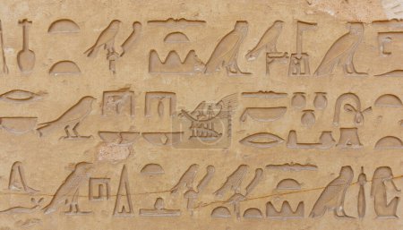 Foto de SAQQARA, EGIPTO - 23 DE MARZO DE 2023: Textos jeroglíficos de Egyp antiguo en las paredes de la necrópolis de Saqqara, Egipto - Imagen libre de derechos