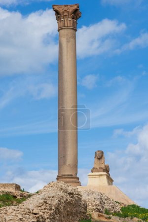 Téléchargez les photos : Sphinx et pilier géant de Pompée antique sur le territoire de Serapeum d'Alexandrie en Egypte - en image libre de droit