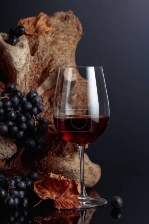 Szklankę czerwonego wina. W tle stary haczyk i winogrona z wysuszonymi liśćmi winorośli.