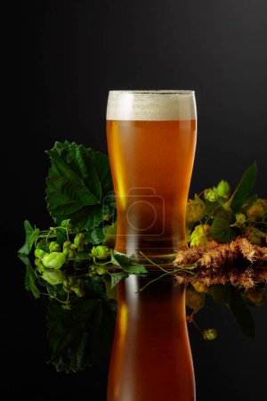 Photo for Beer with hops and barley on a black reflective background. - Royalty Free Image