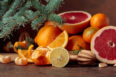 Téléchargez les photos : Agrumes et branche d'épinette sur fond brun. Nature morte de Noël aux oranges, pamplemousses, citrons et mandarines. - en image libre de droit