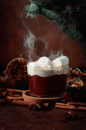 Photo for Christmas hot chocolate with marshmallows. Winter drink with spices on a dark brown background. - Royalty Free Image