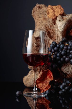 Téléchargez les photos : Un verre de vin rouge. En arrière-plan vieux chicots et raisins avec des feuilles de vigne séchées. - en image libre de droit