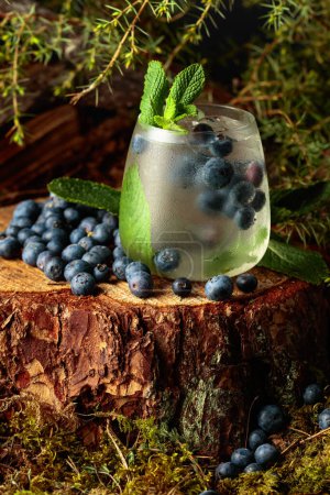 Téléchargez les photos : Gin and Tonic cocktail with blueberries and mint.  Natural background with juniper twigs. - en image libre de droit