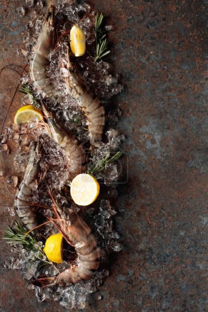 Photo for Fresh tiger prawns with lemon, rosemary and crushed ice, top view with copy space. Rusty metal background. - Royalty Free Image