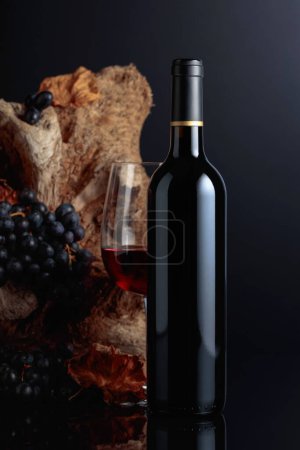 Foto de Bottle and glass of red wine. In the background old snag and grapes with dried-up vine leaves. - Imagen libre de derechos